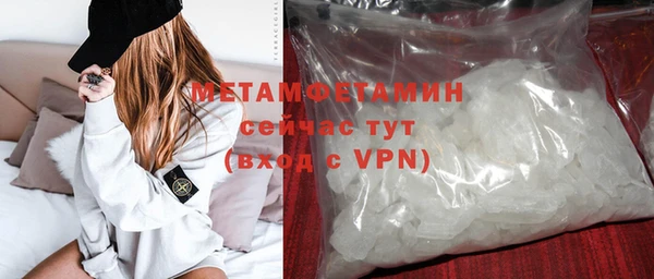 ПСИЛОЦИБИНОВЫЕ ГРИБЫ Дмитриев