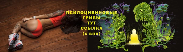 не бодяженный Дмитровск