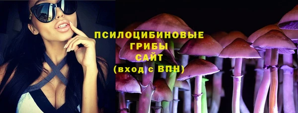 PSILOCYBIN Дмитров