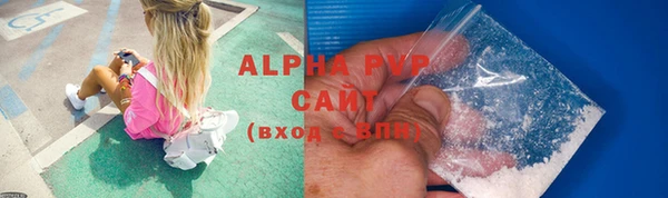 прущие грибы Усмань