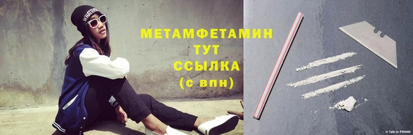ПСИЛОЦИБИНОВЫЕ ГРИБЫ Дмитриев