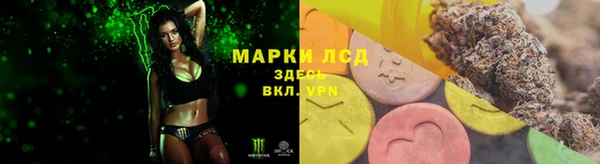 ПСИЛОЦИБИНОВЫЕ ГРИБЫ Дмитриев
