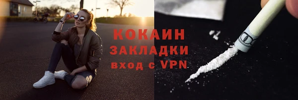 ПСИЛОЦИБИНОВЫЕ ГРИБЫ Дмитриев