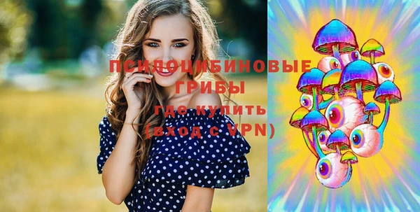 PSILOCYBIN Дмитров