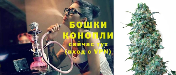 ПСИЛОЦИБИНОВЫЕ ГРИБЫ Дмитриев
