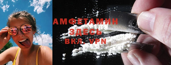 ПСИЛОЦИБИНОВЫЕ ГРИБЫ Дмитриев