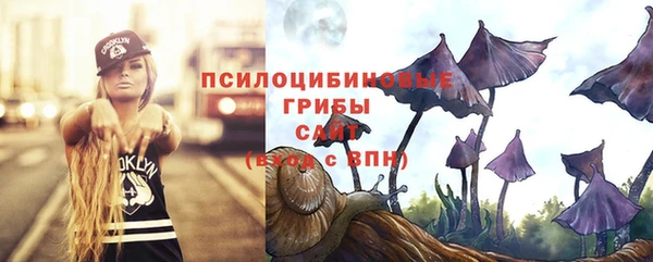 не бодяженный Дмитровск