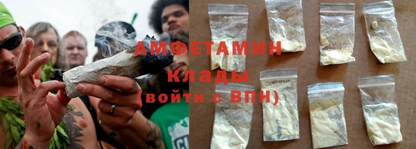 ПСИЛОЦИБИНОВЫЕ ГРИБЫ Дмитриев