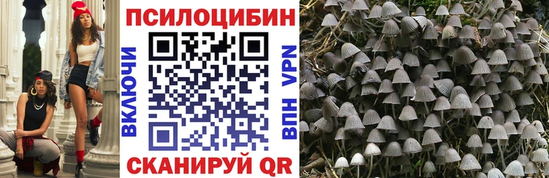 Галлюциногенные грибы мухоморы  закладка  Нурлат 