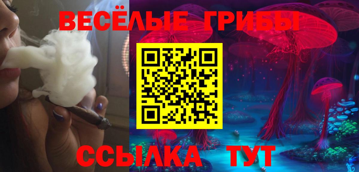 Псилоцибиновые грибы Magic Shrooms Нурлат